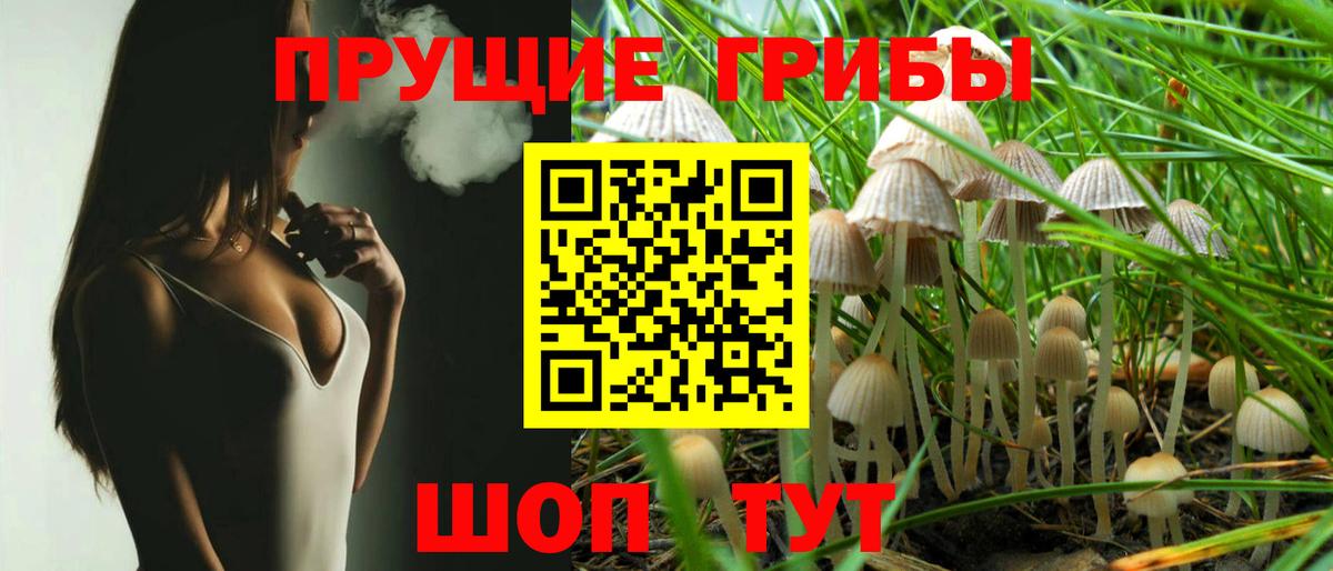 Псилоцибиновые грибы Cubensis Ликино-Дулёво